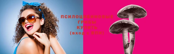PSILOCYBIN Зеленокумск