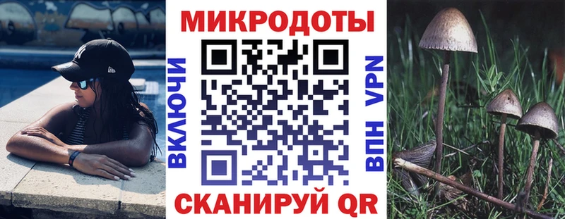 Галлюциногенные грибы мухоморы Бородино