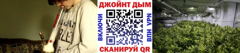 МАРИХУАНА Bruce Banner  Бородино 